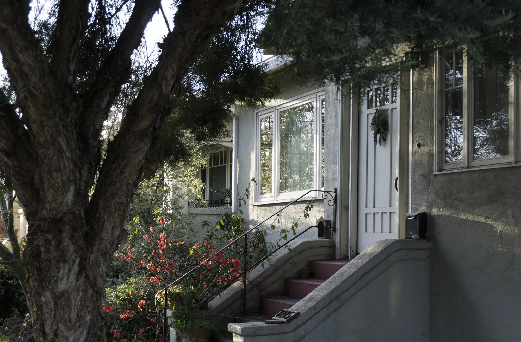 Front entrance of a craftsman-style house with stairs, flowering plants and a large tree